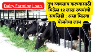 Dairy Farming Loan 2024